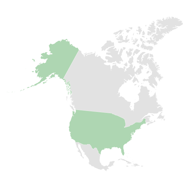 https://microtest-new2.filanda.it/wp-content/uploads/2024/11/America_mobile-min.png